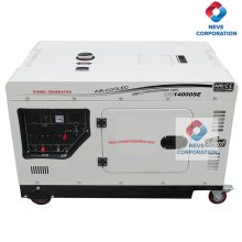 Ricardo Diesel Generator 12 kVA / 10 kW