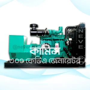 Cummins 300 kVA Generator Cummins generator 300 kVA Cummins diesel generator generator